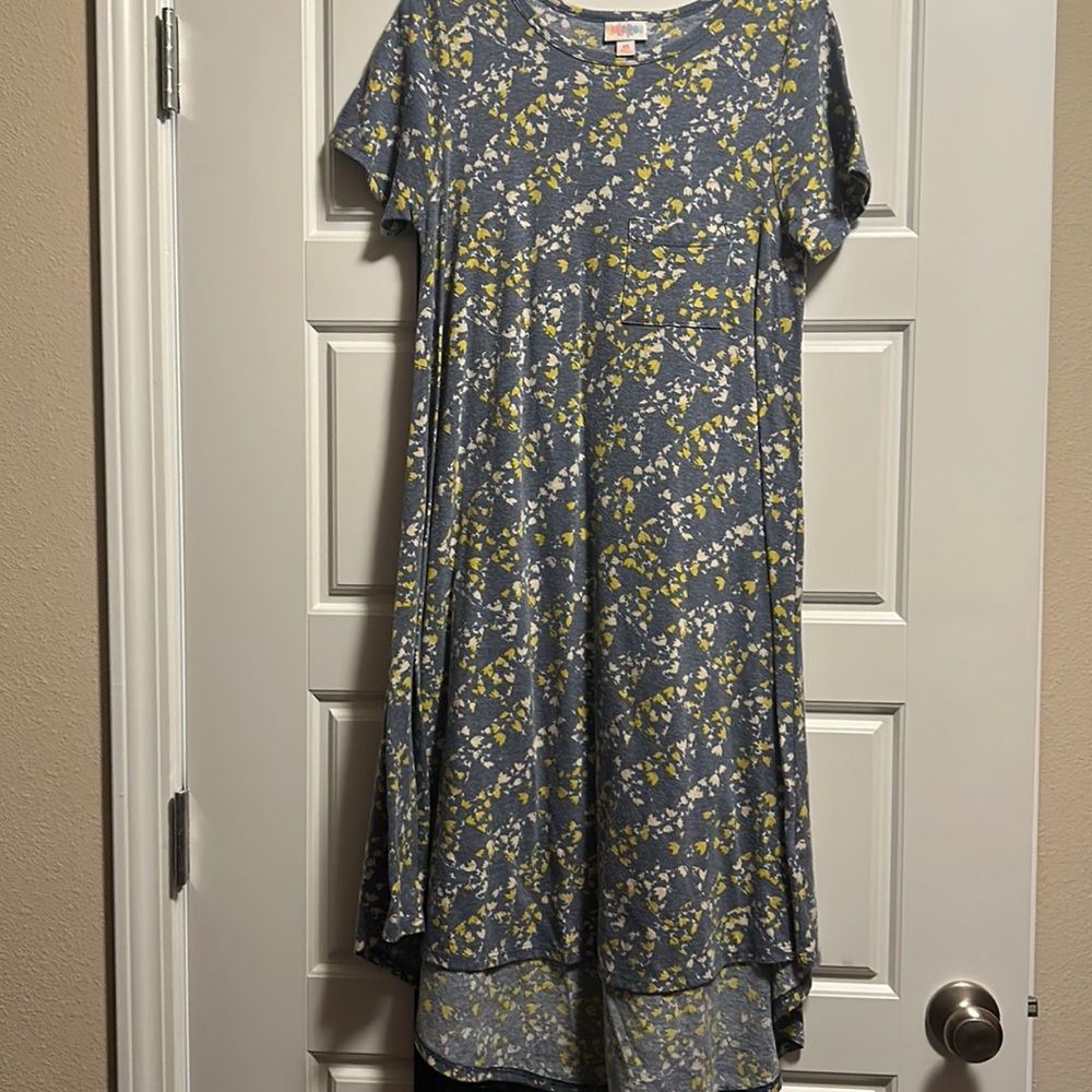 Lularoe Carly dress